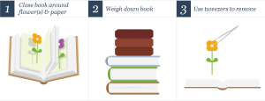 Book method
